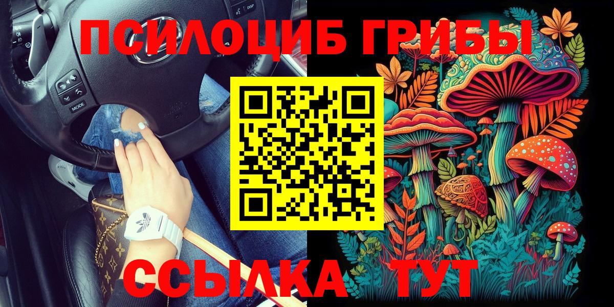даркнет сайт  Псилоцибиновые грибы Cubensis  Кубинка  Вход с VPN  Галлюциногенные грибы мухоморы 